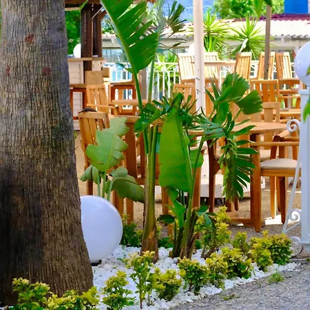 Hawaii Hotell 4*