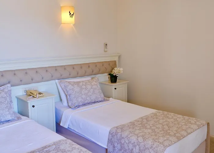 ホテル Hawaii マルマリス